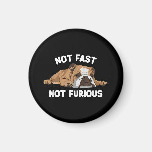 Engelse Bulldog slaapt niet snel niet woedend plez Magneet
