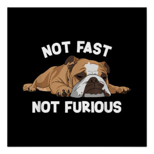 Engelse Bulldog slaapt niet snel niet woedend plez Perfect Poster