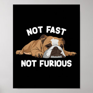 Engelse Bulldog slaapt niet snel niet woedend plez Poster
