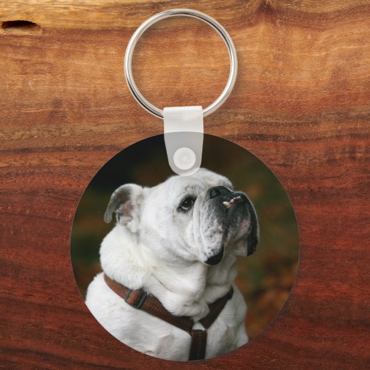 Engelse Bulldog Sleutelhanger (Voorkant)