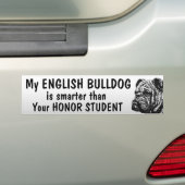 Engelse Bulldog - Smarter dan student - grappig Bumpersticker (Op auto)