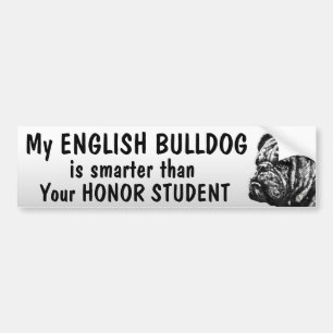 Engelse Bulldog - Smarter dan student - grappig Bumpersticker