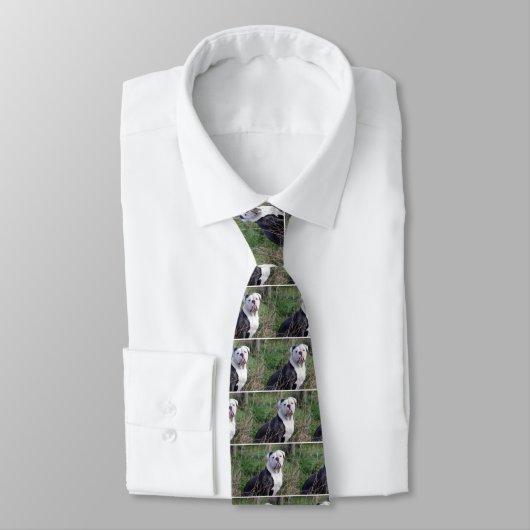 Engelse Bulldog Stropdas (Gebonden)