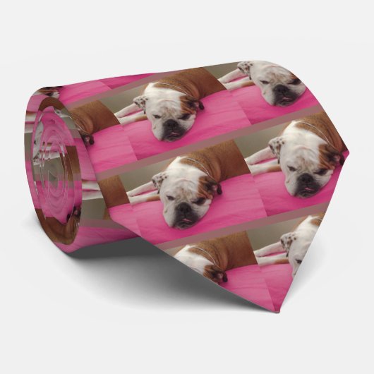 Engelse Bulldog Stropdas (Opgerold)