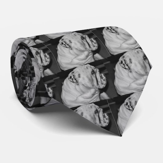 Engelse Bulldog Stropdas (Opgerold)