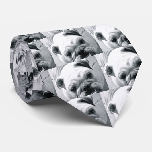 Engelse Bulldog Stropdas (Opgerold)