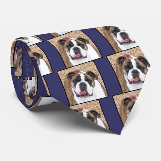 Engelse Bulldog Stropdas (Opgerold)