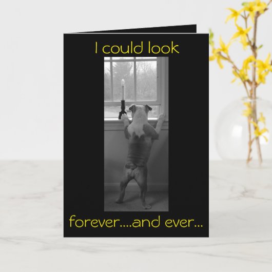 Engelse Bulldog Vaderdag Kaart (Gele Bloem)