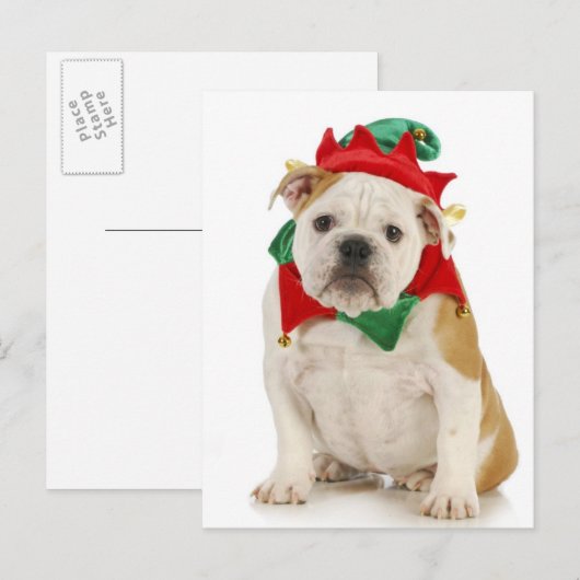 Engelse bulldog verkleed als elf briefkaart (Voorkant / Achterkant)