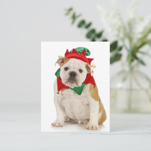 Engelse bulldog verkleed als elf briefkaart (Staand voorkant)