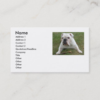 Engelse Bulldog Visitekaartjes
