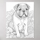Engelse Bulldog volwassen kleuring Poster (Voorkant)