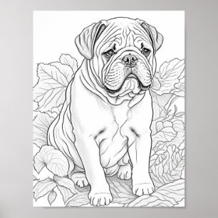Engelse Bulldog volwassen kleuring Poster