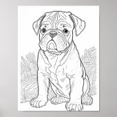 Engelse Bulldog volwassen kleuring Poster (Voorkant)