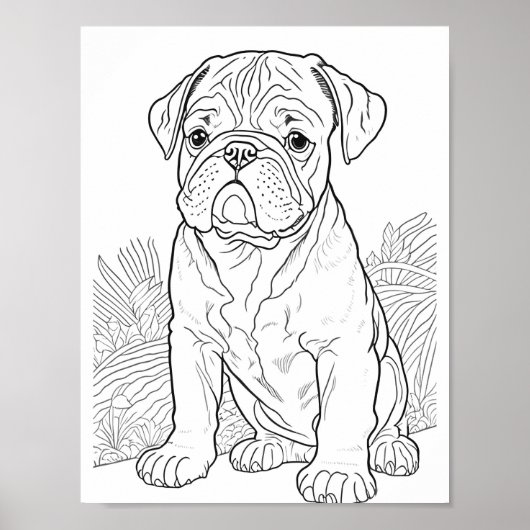 Engelse Bulldog volwassen kleuring Poster (Voorkant)