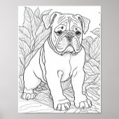 Engelse Bulldog volwassen kleuring Poster (Voorkant)