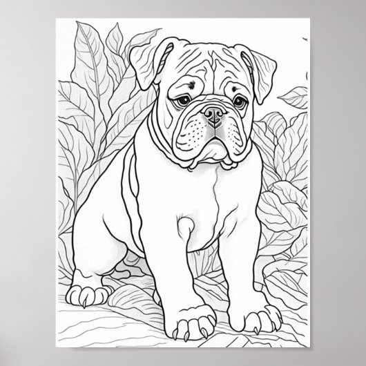 Engelse Bulldog volwassen kleuring Poster (Voorkant)