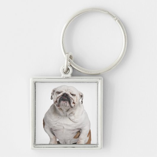 Engelse Bulldog, vooraan wit Sleutelhanger (Voorkant)