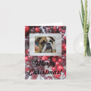 Engelse bulldog Vrolijke kerstkaarten, schattig! Feestdagen Kaart