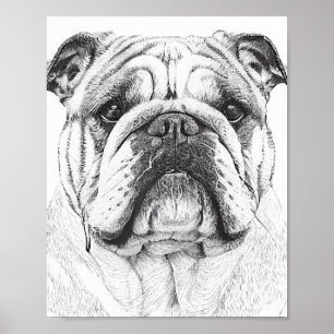 Engelse Bulldog Wild Natuur Dierenillustratie Poster