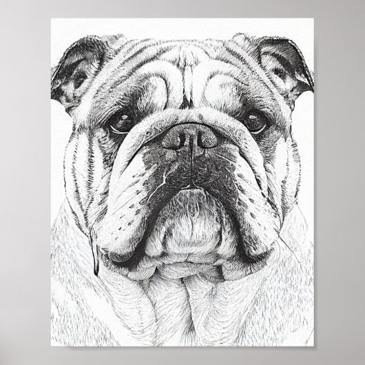 Engelse Bulldog Wild Natuur Dierenillustratie Poster (Voorkant)