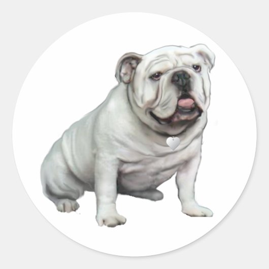 Engelse Bulldog - Wit 1 Ronde Sticker (Voorkant)
