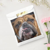 Engelse Bulldog Worp Kussen Bedankzakje (Gezegeld)