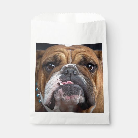 Engelse Bulldog Worp Kussen Bedankzakje (Voorkant)