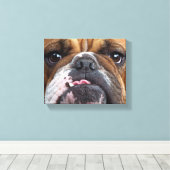 Engelse Bulldog Worp Kussen Canvas Afdruk (Insitu (Houten vloer))