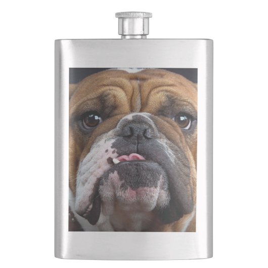 Engelse Bulldog Worp Kussen Flacon (Voorkant)