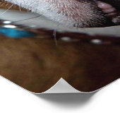 Engelse Bulldog Worp Kussen Poster (Hoek)