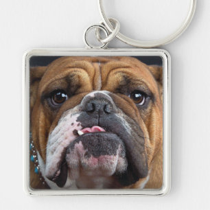 Engelse Bulldog Worp Kussen Sleutelhanger