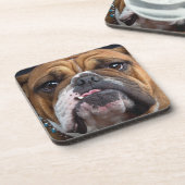 Engelse Bulldog Worpkussen Bier Onderzetter (Linkerzijde)