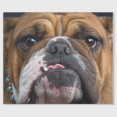 Engelse Bulldog Worpkussen Cadeaupapier (Vlak)