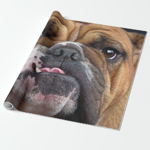 Engelse Bulldog Worpkussen Cadeaupapier