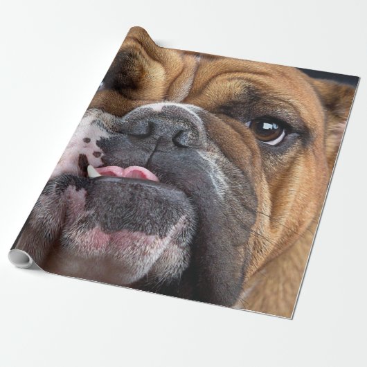 Engelse Bulldog Worpkussen Cadeaupapier (Uitgerold)