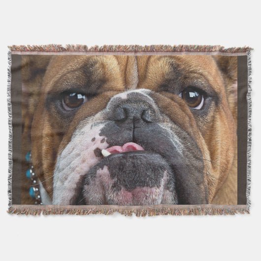 Engelse Bulldog Worpkussen Deken (Voorkant)