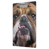 Engelse Bulldog Worpkussen Klembord (Links)