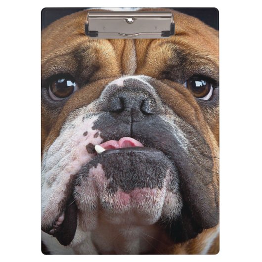 Engelse Bulldog Worpkussen Klembord (Voorkant)