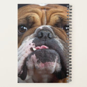 Engelse Bulldog Worpkussen Planner (Achterkant)