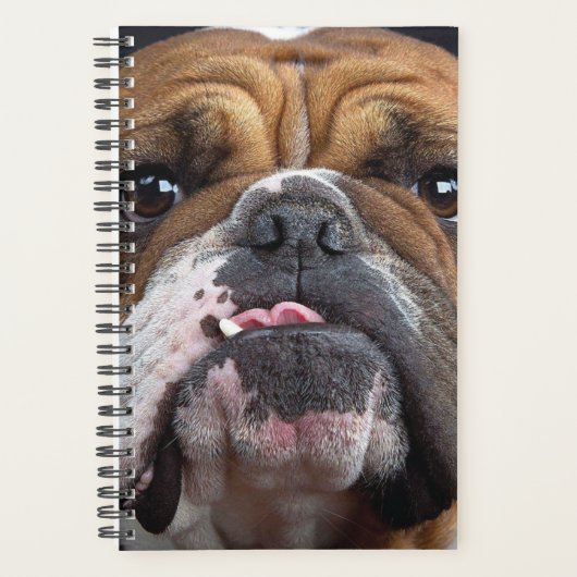 Engelse Bulldog Worpkussen Planner (Voorkant)