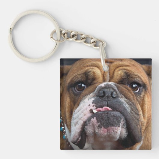 Engelse Bulldog Worpkussen Sleutelhanger (voorkant)