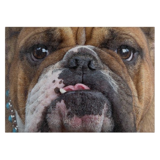Engelse Bulldog Worpkussen Snijplank (Voorkant)