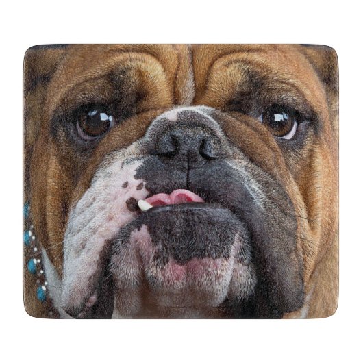 Engelse Bulldog Worpkussen Snijplank (Voorkant)