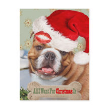 Engelse Bulldog zoent met kerst
