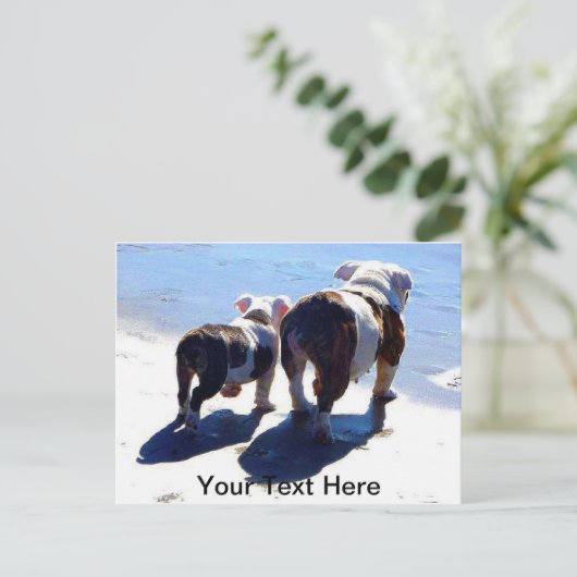 Engelse Bulldogs Briefkaart (Staand voorkant)