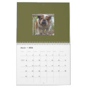 Engelse Bulldogs Calendar! Kalender (Mar 2026)