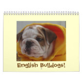 Engelse Bulldogs Calendar! Kalender (Hoes)