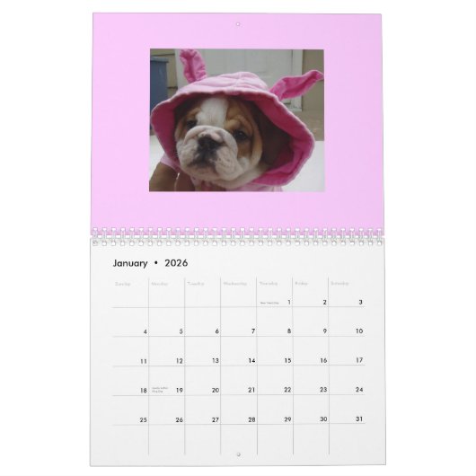 Engelse Bulldogs Calendar! Kalender (Jan 2026)