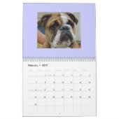 Engelse Bulldogs Calendar! Kalender (Feb 2027)